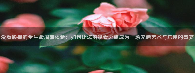 光棍影院一二区：爱看影视的全生命周期体验：如何让您的观看之旅成为一场充满艺术与乐趣的盛宴