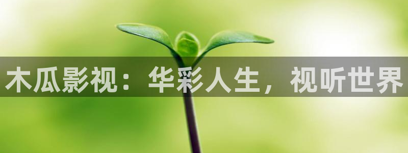 光棍影院2017：木瓜影视：华彩人生，视听世界